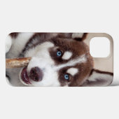 Siberian Husky Puppy in het strand Case-Mate iPhone Case (Achterkant (horizontaal))