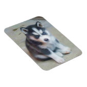 Siberian Husky puppy Magneet (Rechterzijde)