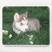 Siberian Husky Puppy Mousepad Muismat (Voorkant)