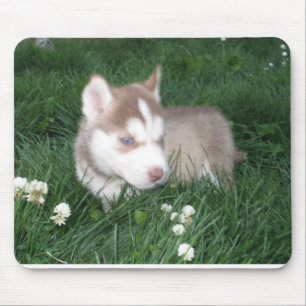 Siberian Husky Puppy Mousepad Muismat