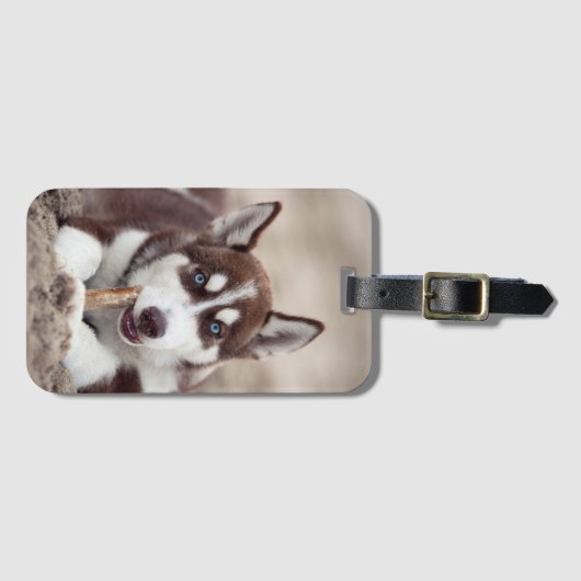 Siberian Husky Puppy op het strand Bagagelabel (Voorkant (horizontaal))