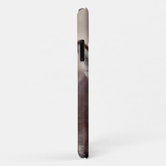 Siberian Husky Puppy op het strand Case-Mate iPhone Case (Achterkant/rechts)