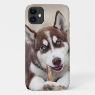 Siberian Husky Puppy op het strand Case-Mate iPhone Case