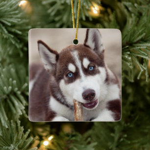 Siberian Husky Puppy op het strand Keramisch Ornament