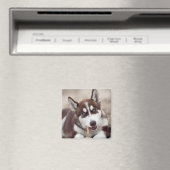 Siberian Husky Puppy op het strand Magneet (Insitu (Vaatwasser))