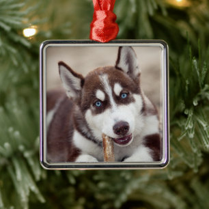 Siberian Husky Puppy op het strand Metalen Ornament