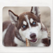 Siberian Husky Puppy op het strand Muismat (Voorkant)