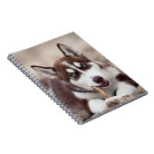 Siberian Husky Puppy op het strand Notitieboek (Rechterzijde)