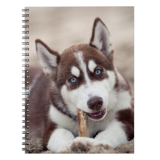 Siberian Husky Puppy op het strand Notitieboek (Voorkant)