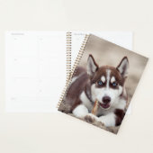 Siberian Husky Puppy op het strand Planner (Display)