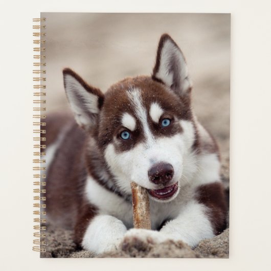 Siberian Husky Puppy op het strand Planner (Voorkant)