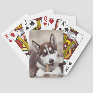 Siberian Husky Puppy op het strand Pokerkaarten