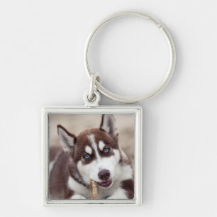 Siberian Husky Puppy op het strand Sleutelhanger