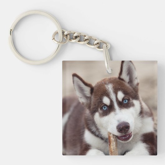 Siberian Husky Puppy op het strand Sleutelhanger (Voorkant)