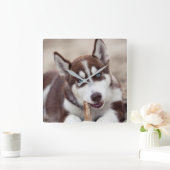 Siberian Husky Puppy op het strand Vierkante Klok (Huis)