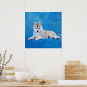 Siberian Husky Puppy Poster (Keuken)