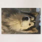 Siberian Husky Puzzle Legpuzzel (Horizontaal)