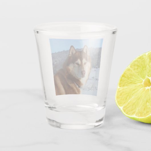 siberian-husky-red and white shot glas (Achterkant)