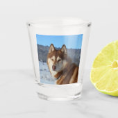 siberian-husky-red and white shot glas (Voorkant)