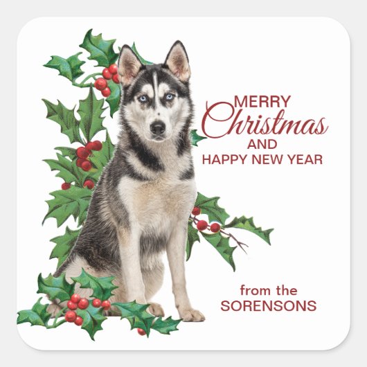 Siberian Husky Red Berry Holly Kerstmis Vierkante Sticker (Voorkant)