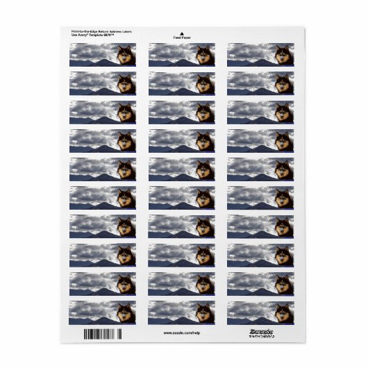 Siberian Husky Return Address Label (Full Sheet)