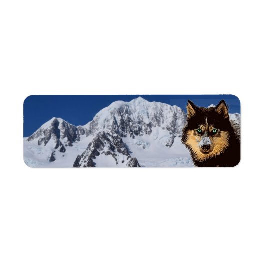 Siberian Husky Return Address Label (Voorkant)