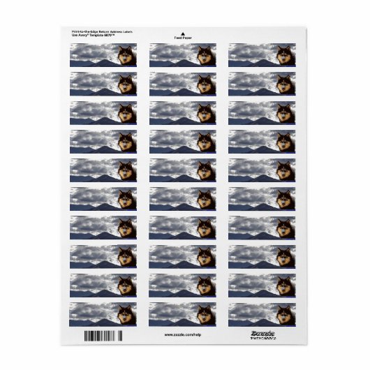 Siberian Husky Return Address Label (Full Sheet)