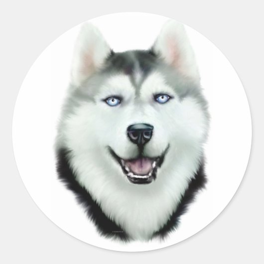 Siberian Husky Ronde Sticker (Voorkant)