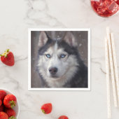 Siberian Husky Servet (Insitu)