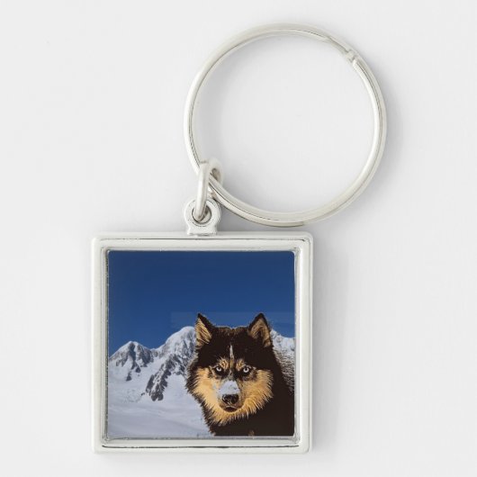 Siberian Husky Sleutelhanger (Voorkant)