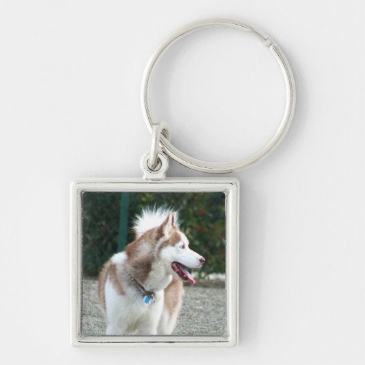 Siberian Husky sleutelhanger (Voorkant)