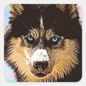 Siberian Husky Square Sticker (Voorkant)