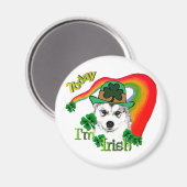 Siberian Husky St Patricks Day Magneet (Voorkant / Achterkant)