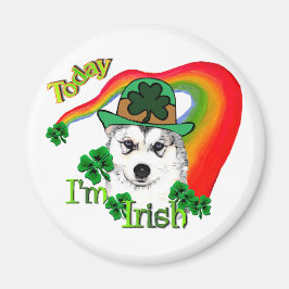 Siberian Husky St Patricks Day Magneet