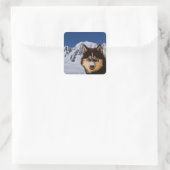 Siberian Husky Sticker (Tas)