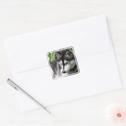 Siberian Husky Stickers (Envelop)