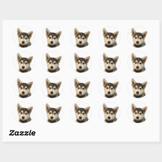 Siberian Husky Stickers (Vel)