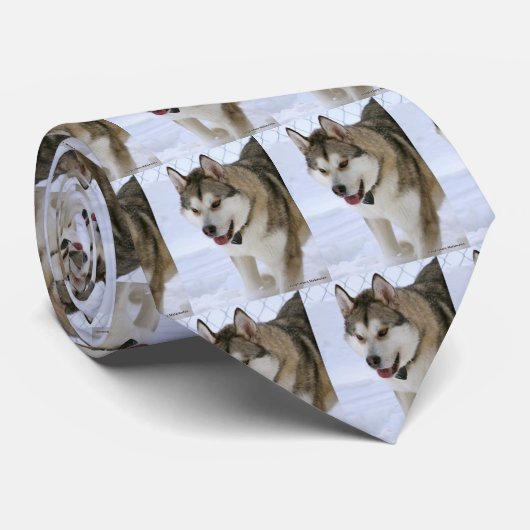 SIBERIAN HUSKY STROPDAS (Opgerold)