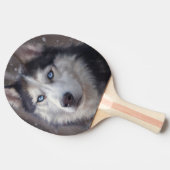 Siberian Husky Tafeltennisbatje (Zijkant)