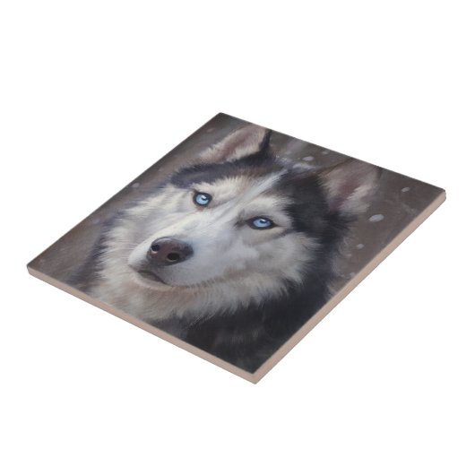 Siberian Husky Tegeltje (Zijkant)