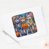 Siberian Husky Trick-or-Treating Halloween Costume Vierkante Sticker (Envelop)