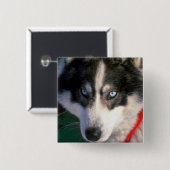 Siberian Husky Vierkante Button 5,1 Cm (Voorkant /achterkant)