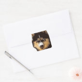 Siberian Husky Vierkante Sticker (Envelop)