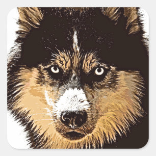 Siberian Husky Vierkante Sticker