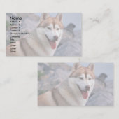 Siberian Husky Visitekaartje (Voorkant / Achterkant)