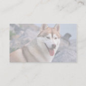 Siberian Husky Visitekaartje (Achterkant)