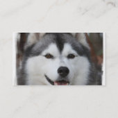 Siberian Husky Visitekaartje (Achterkant)