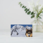 Siberian Husky Visitekaartje (Staand voorkant)