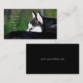 Siberian Husky visitekaartjes (Voorkant / Achterkant)
