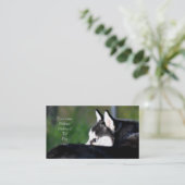 Siberian Husky visitekaartjes (Staand voorkant)